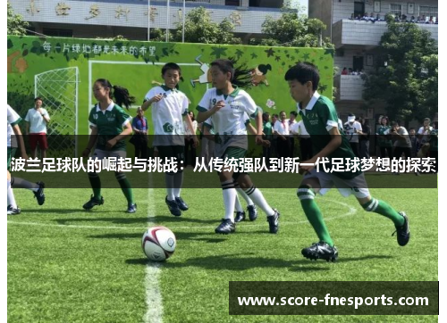 波兰足球队的崛起与挑战：从传统强队到新一代足球梦想的探索