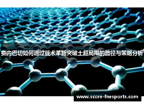 费内巴切如何通过战术革新突破土超局限的路径与策略分析