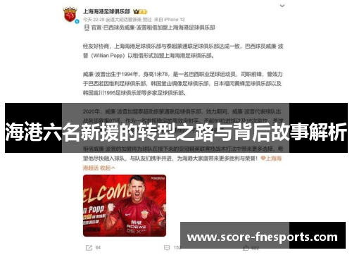 海港六名新援的转型之路与背后故事解析